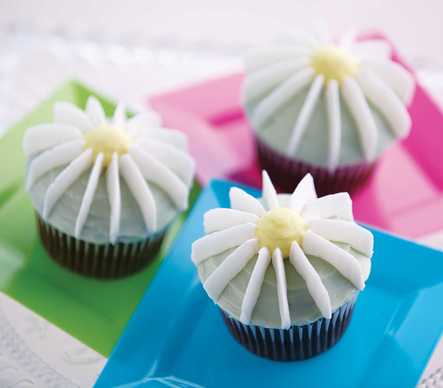 Wilton Cake Courses White River
